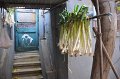 Beijing - China (43)